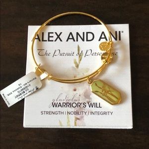 Alex and Ani Bracelet